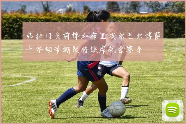 弗拉门戈前锋加布里埃尔巴尔博萨十字韧带撕裂将缺席剩余赛季